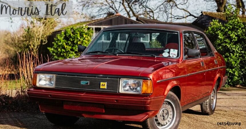 A front three-quarter view of a classic red Morris Ital sedan with a dark vinyl roof parked on a gravel drive with trees and foliage in the background. Cursive text in the top-left corner reads "Morris Ital".